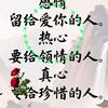 风月皆你