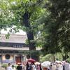 墨染流年（涨粉中关必回）