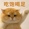椰子动漫