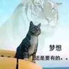 早睡不一定早起
