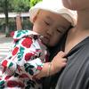娘子好萌