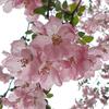 儿时赏过的🌸