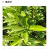 不如见一面