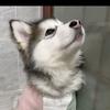 廾