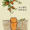 马二妮儿