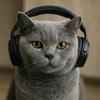 猫DE耳