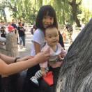 任吉红