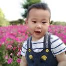 A 肖肖青白江中金