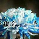 晓雅