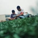 丰盛以勒