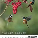 缘份‘