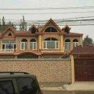 A.   杨明来收育肥羊