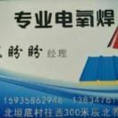 陈盼盼