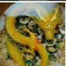龍腾