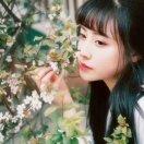 华青移动酒店，朱少清，