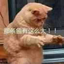 舒心