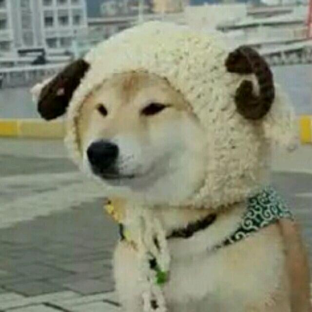 旅行的意义收人了