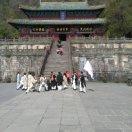 思逐风云