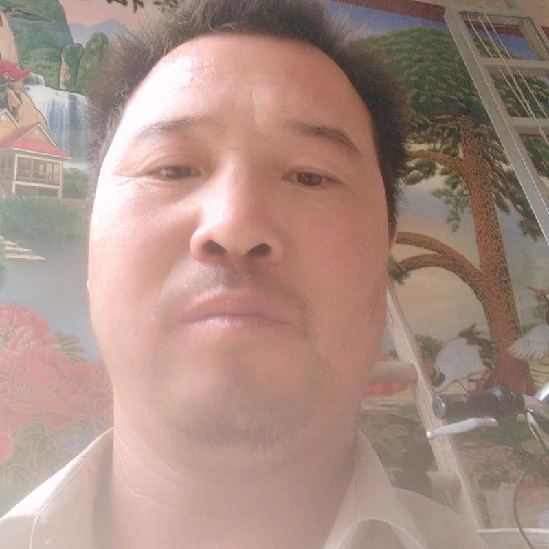 寂寞笨小虫