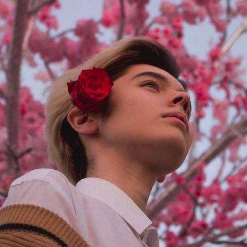蜂蜜柚子茶