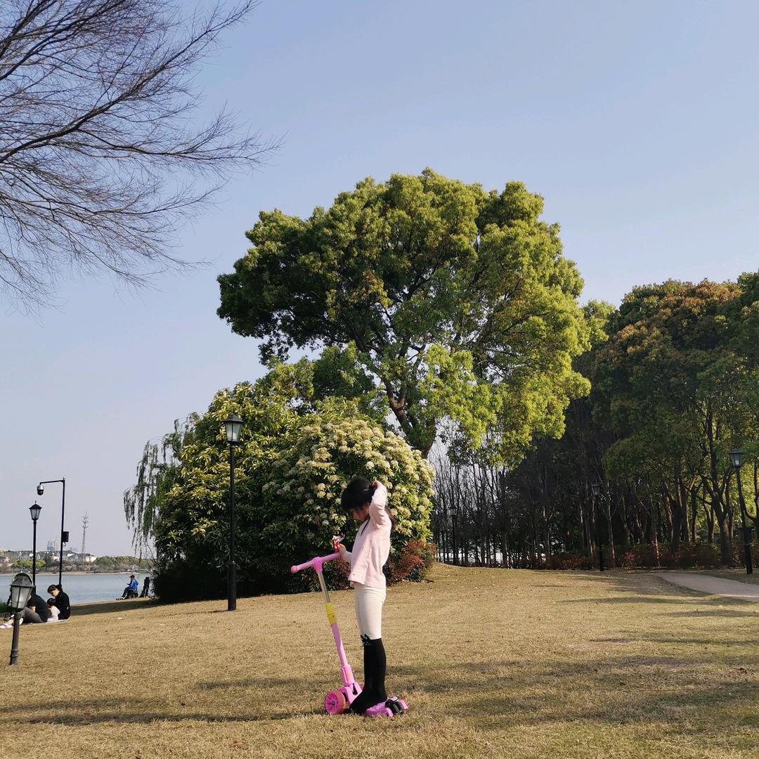 🧚♂️流苏
