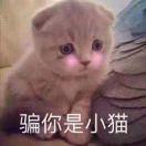 非凡