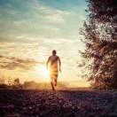 卖挖机的小钻风