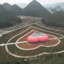 一生有你_238378303