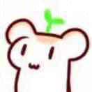 y、