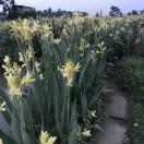 满江红重庆毛肚老火锅（大足店）