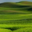 商业故事分享•老鼠🐭