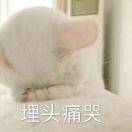 亮