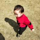 雨月阳光    