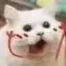 @এ᭄相守如初ོꦿ࿐