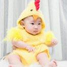 鲁班静音系统门窗