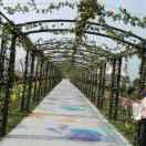 จุ๊บ 且行且珍惜