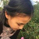 蝈蝈