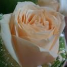 马瀚宇（化名）