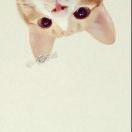 小猫 ♊️