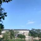 🌹萍水相逢🌹