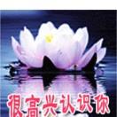 大山里的土豹子