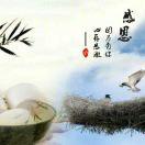 陆贰零