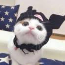 小磊子