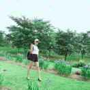 梦醒つ 醉人心々