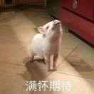 丶Fireu丨x