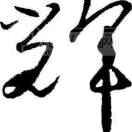 沈沈爱上你