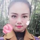 常栖梧桐