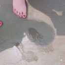 丑女无敌-腰粗腿短大屁股圆脸