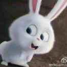 白天不懂夜的黑