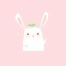 Rabbit。